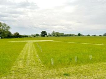 Brackenxcapes Glamping