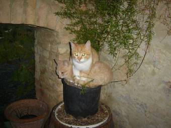 Agroturismo Agriturismo Le 4 Stagioni