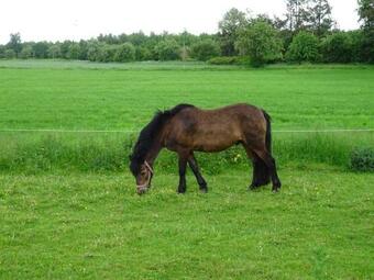 Agroturismo Frehmeyer, Markus
