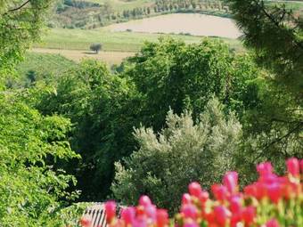 Apartment Le Ginestre Colonella