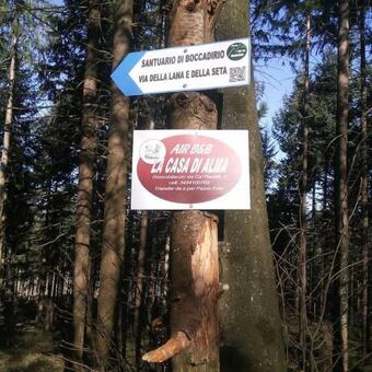 Hostal Affittacamere La Casa Di Alma