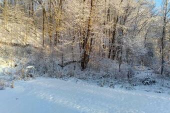 Pet-friendly Franklin Retreat With Pool And Grill