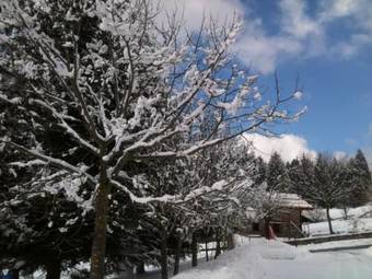 Apartamento Residence Cirese