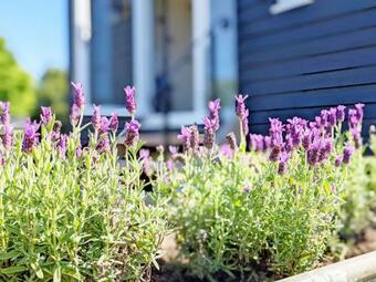Crabden Shepherd Hut - Blendworth
