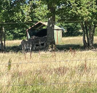 Hostal Au Charme D'ici