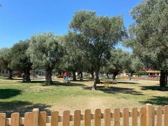 Apartamento S'olivariu House