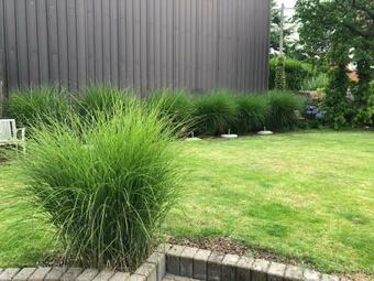 Bed & Breakfast Nene