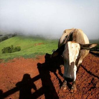 P�r Do Sol Mais Lindo Da Serra Da Mantiqueira