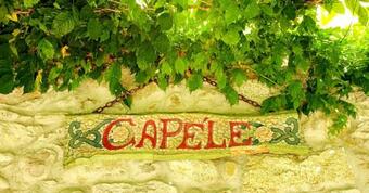 Villa D'epoca Le Cap�le