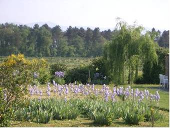 Agroturismo Agriturismo Brolio Quinto