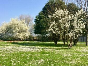 Apartamento Une Chambre D'artiste Dans Le Marais Poitevin