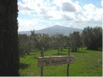 Agroturismo Agriturismo Le Macchie
