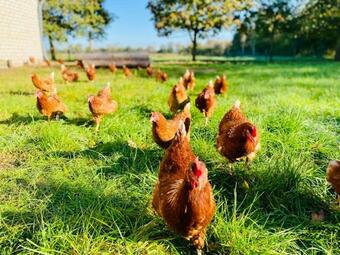 Apartamento Ferienwohnung Heeser Birkenhof - Urlaub Auf Dem Bauernhof Mit Blick Ins Gr�ne