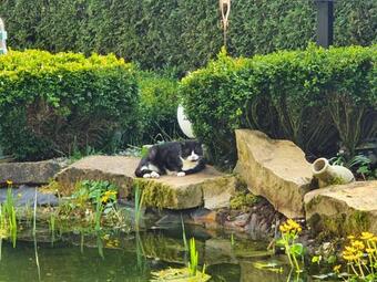 Apartamento Ferienwohnung Schwalbennest