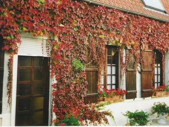 G�te Longuenesse, 3 Pi�ces, 3 Personnes - Fr-1-376-109