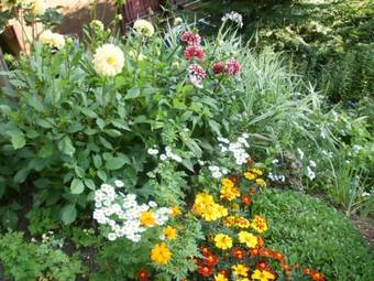 Bed & Breakfast Kranebitt