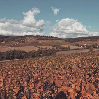 Nuit?s F�erique En Champagne