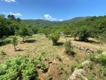 Bed & Breakfast Ch�teau De Blanqueirou, C�vennes, Gastronomie V�g�tale