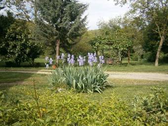 Bed & Breakfast Piccolo Ulivo Ranch