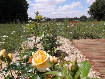 Lodge Avec Spa Pour 6 Pers, Proche De Gu�delon