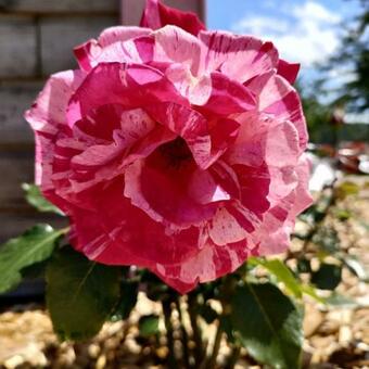 Chalet Aux Portes Du Morvan