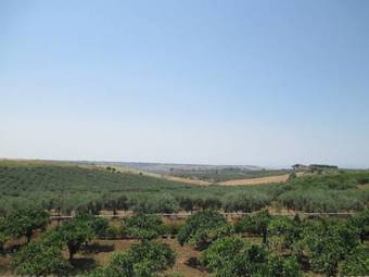 Agroturismo Le Zarafe