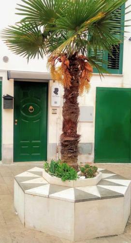 Apartamento B&B Don Peppe