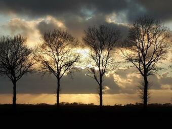 Bed & Breakfast Pipo-wagen De Veenborgh