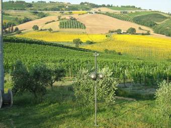 Bed & Breakfast Il Pozzo Di Vivalpa