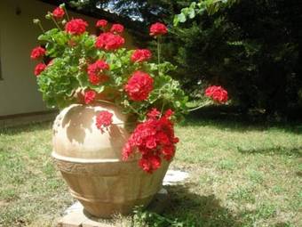 Agroturismo Vigna Lontana