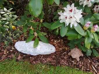 Apartamento Ferienhaus Golfblick