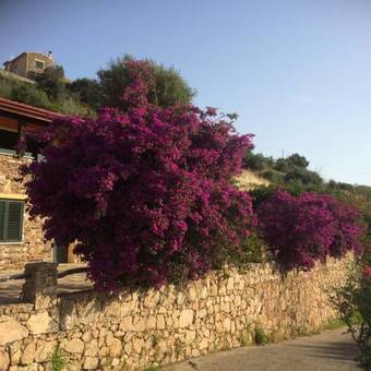 Bed & Breakfast Appartamento Mariposa