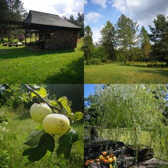 Macharcowy Dom - Zielony Zak?tek