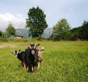 Apartamento Hi?a Krivopeta