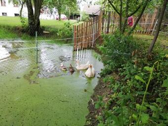 Villa Ubytov�n� Se Zv�?�tky