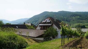 Bed & Breakfast Weinbau Und G�stezimmer Pammer