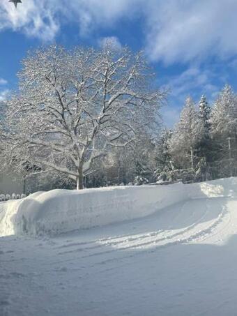 Apartamento Dolomitenblick