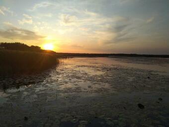 Domek Na Terenie Poleskiego Parku Narodowego