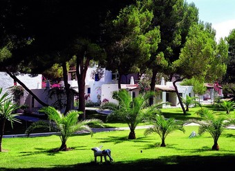 Hotel Insotel Club Maryland