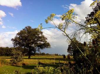 Bed & Breakfast De Bolderie