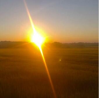 Glamping Bell Tent 4m - Sleeps Upto 4