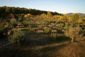 Villa Kim Country Club