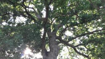 Agroturismo House Paradise