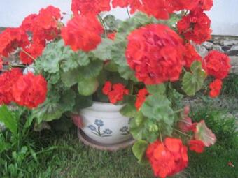 Chalupa Pro Cyklisty