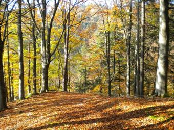 Apartamento G�stezimmer Weiss