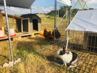 Le G�te De Golette