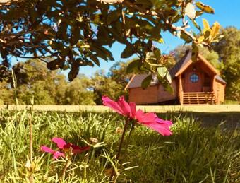 Seal Point Cabin - Luxury Glamping