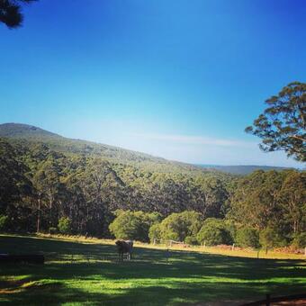 Turicum At Monkey Rock Winery & Cider