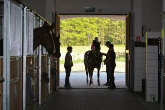 Agroturismo Storczykowe Wzg�rze