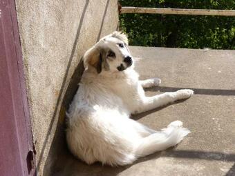 Hostal La Maison De Cure